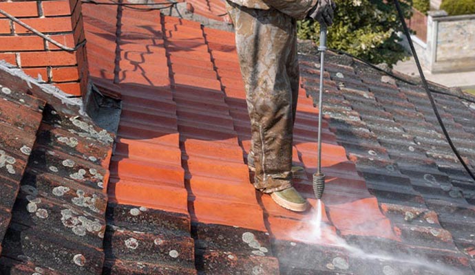 professionals are cleaning the roof.